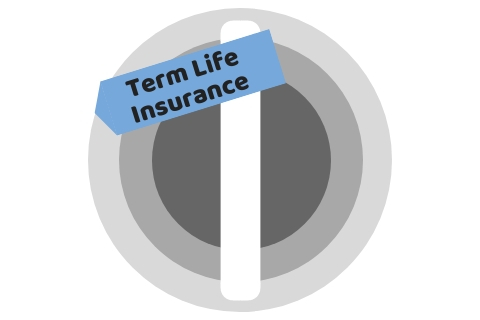 Features Of Term Life Insurance