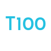Term-100