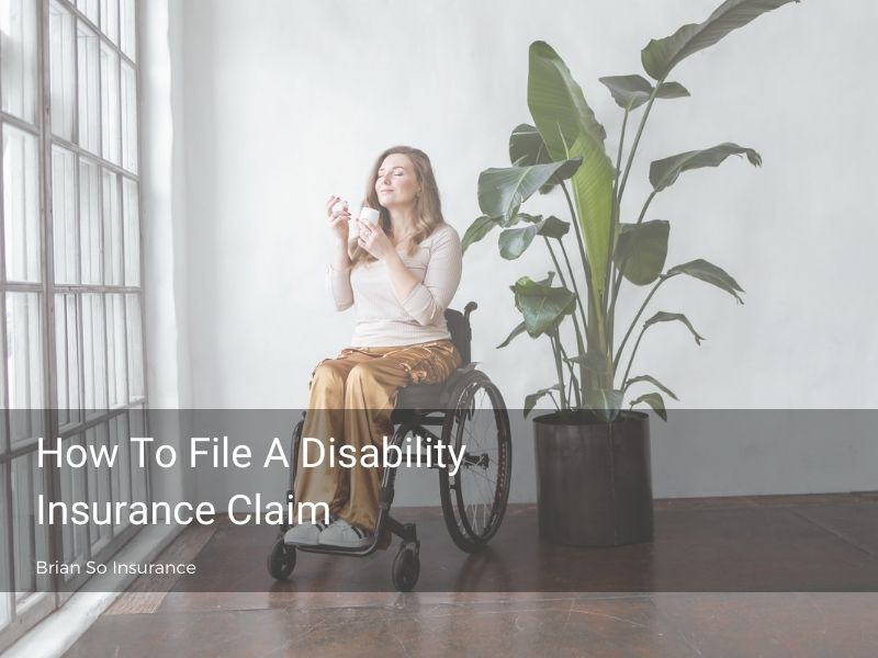 disability-insurance-claim-woman-in-wheelchair-by-window-in-front-of-indoor-plant